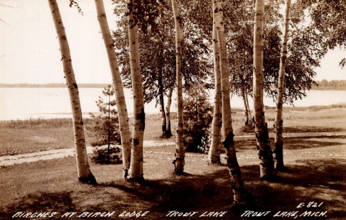 Birch Lodge - Old Postcard